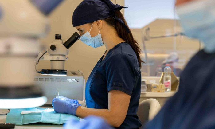 Analyse des greffons chez Art'n'hair