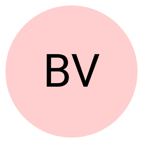 icone baptiste v